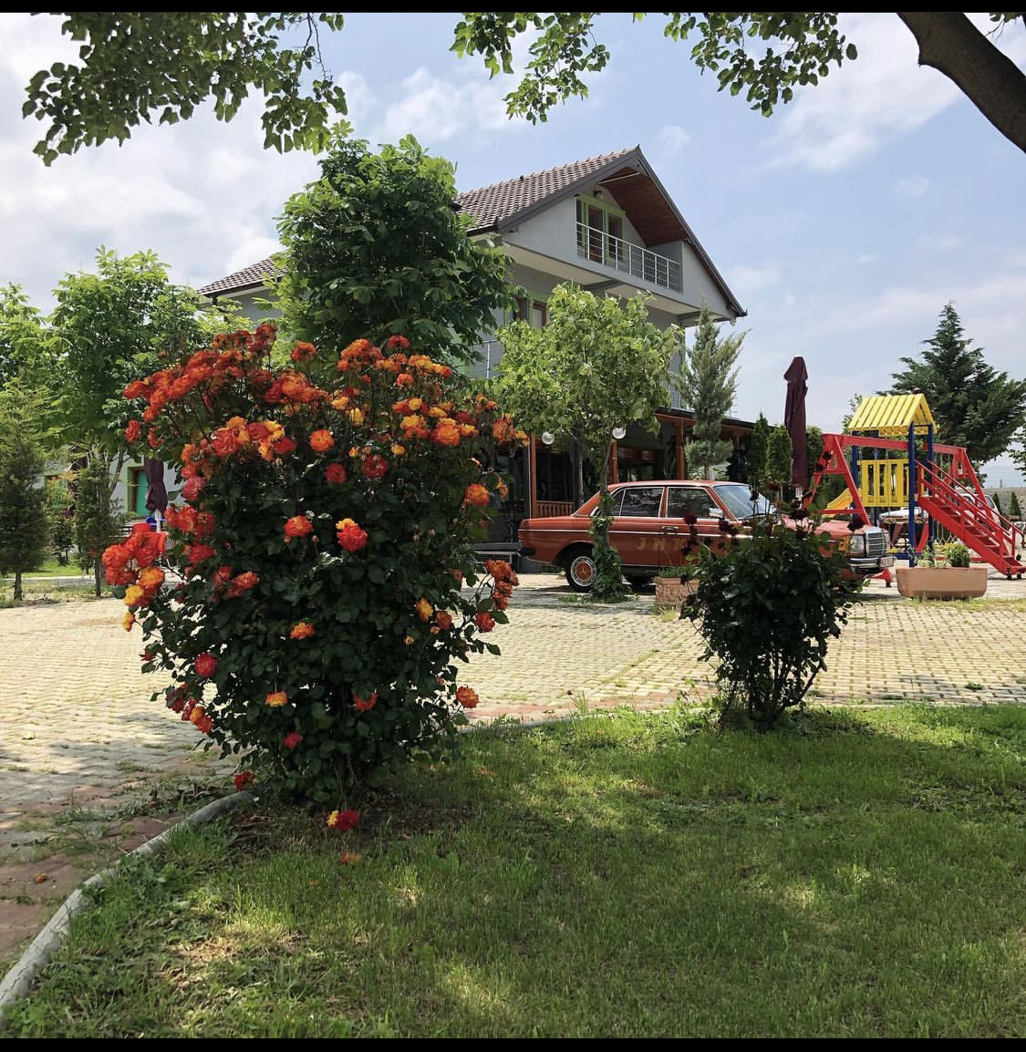 Kompleksi JNK photo 2