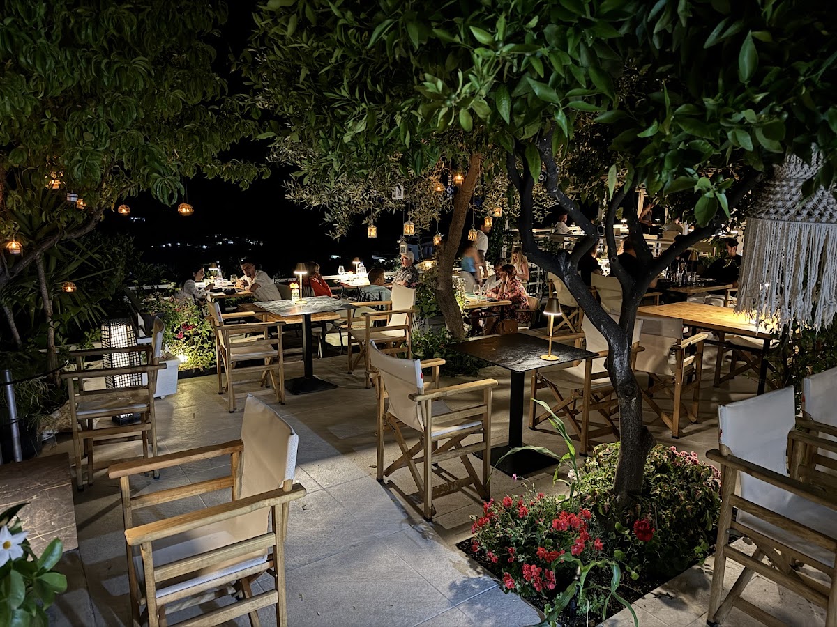 Fig and Olive photo 4
