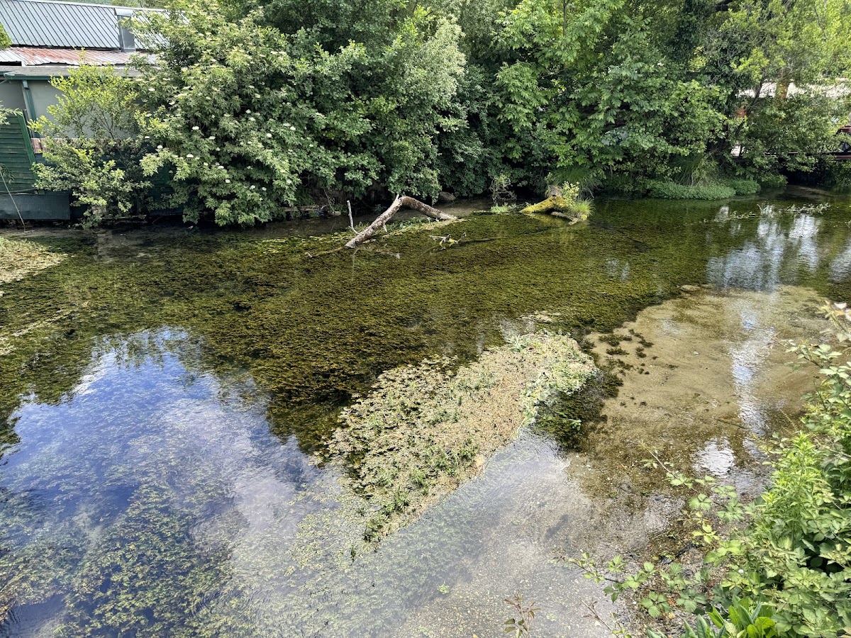 Black Drin River Springs photo 3