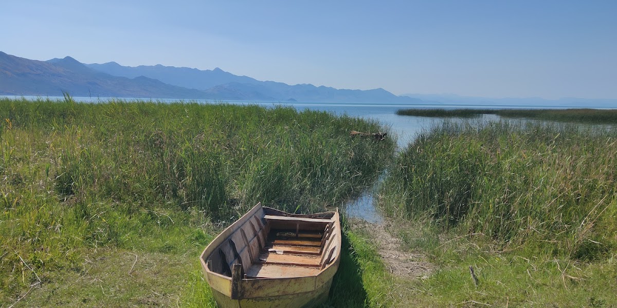 Boat tour photo 5