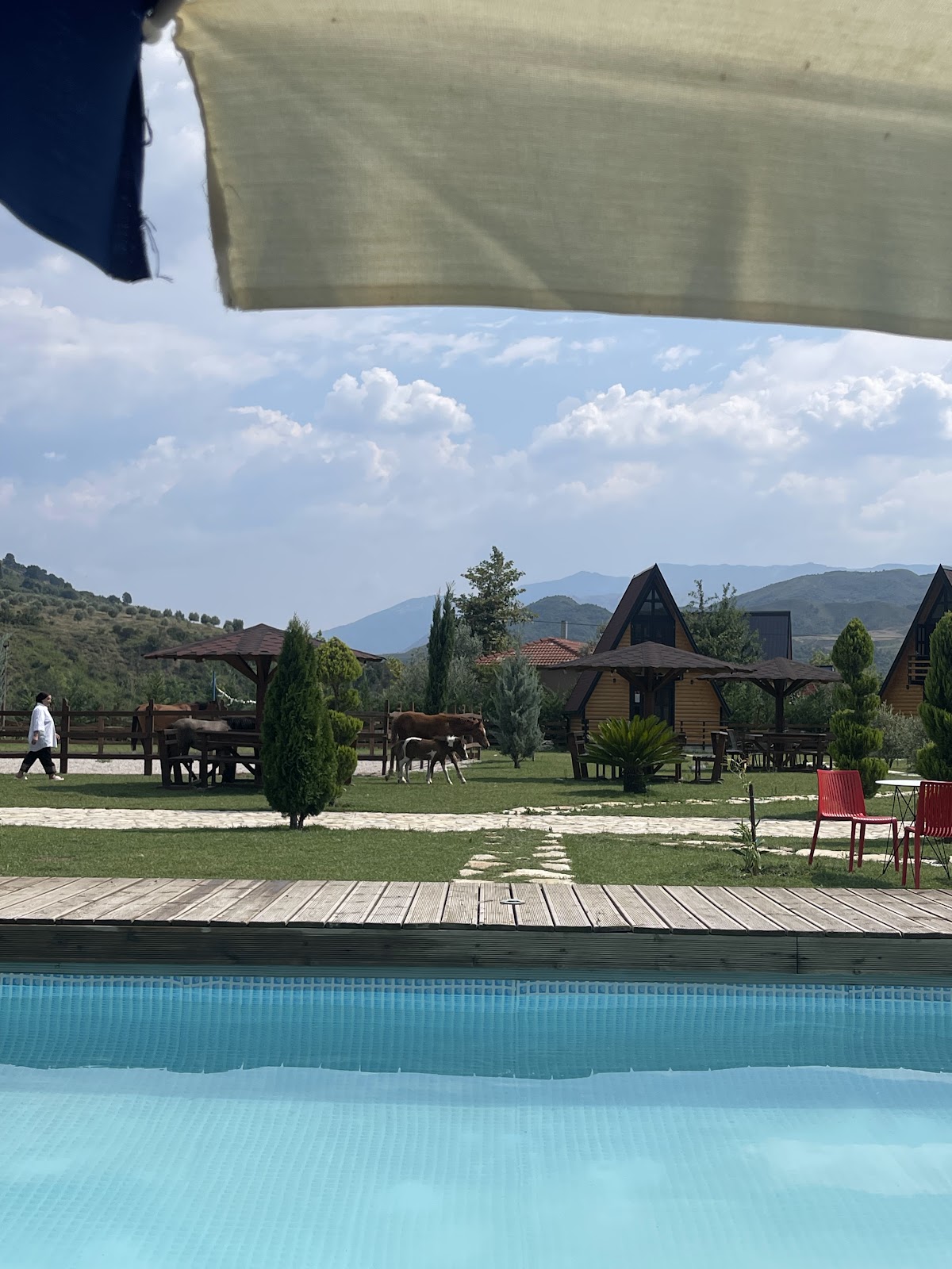 Sancho Farm Albania photo 2