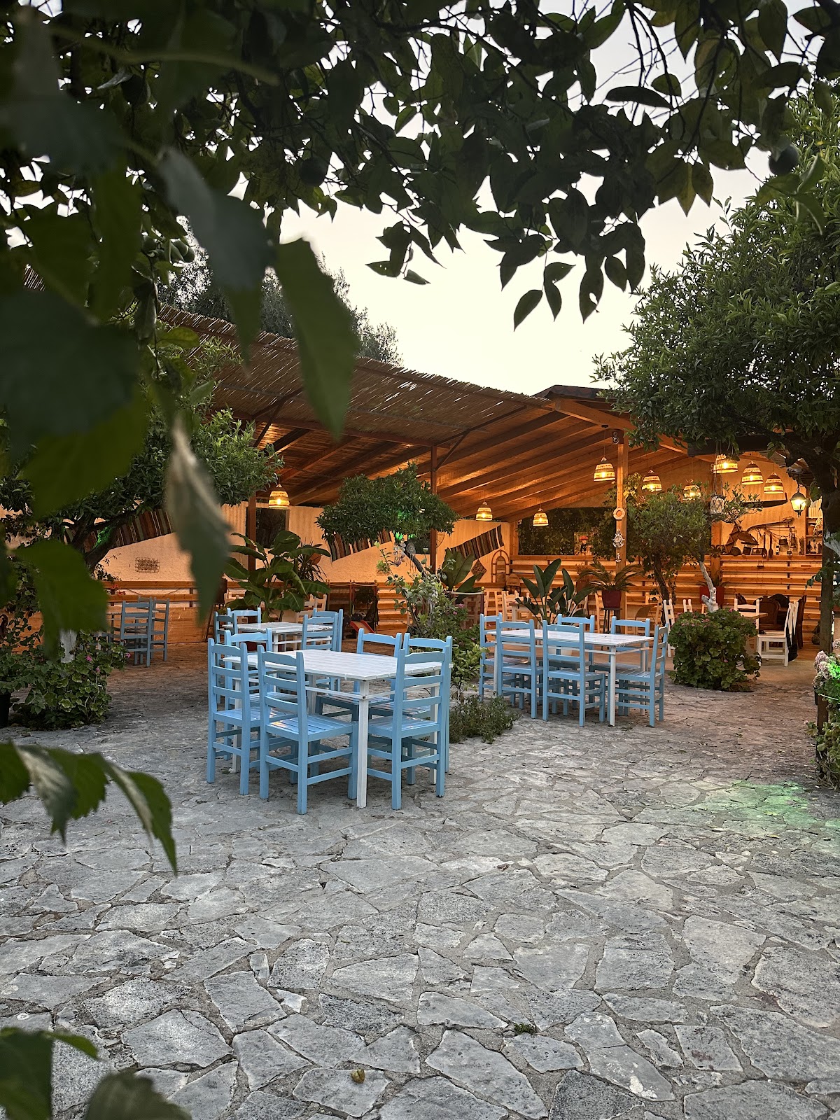 Orange Restaurant photo 4