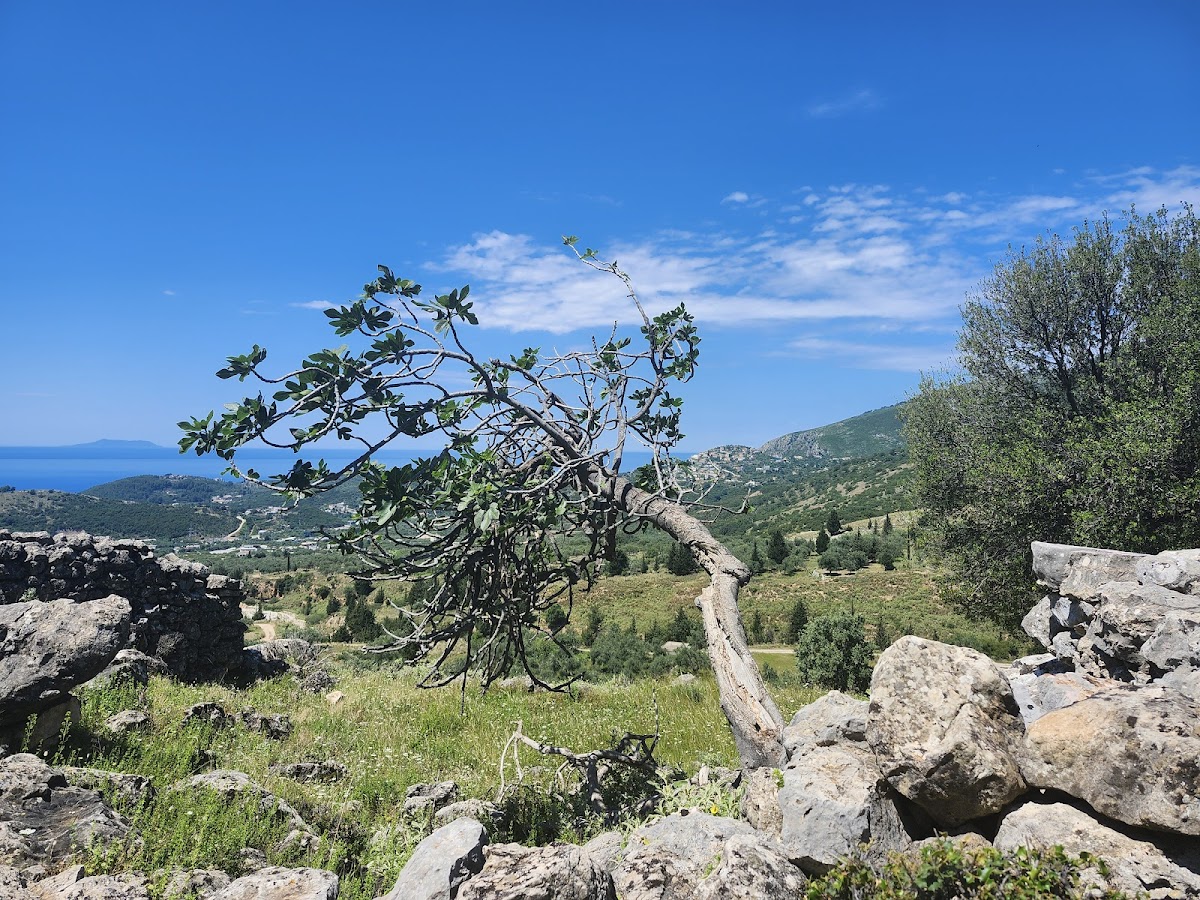 Nice viewpoint photo 5