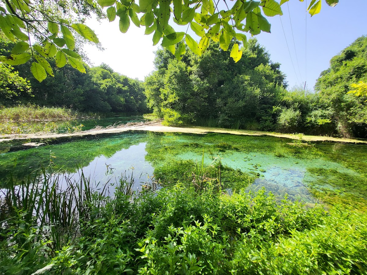 Viewpoint Springs