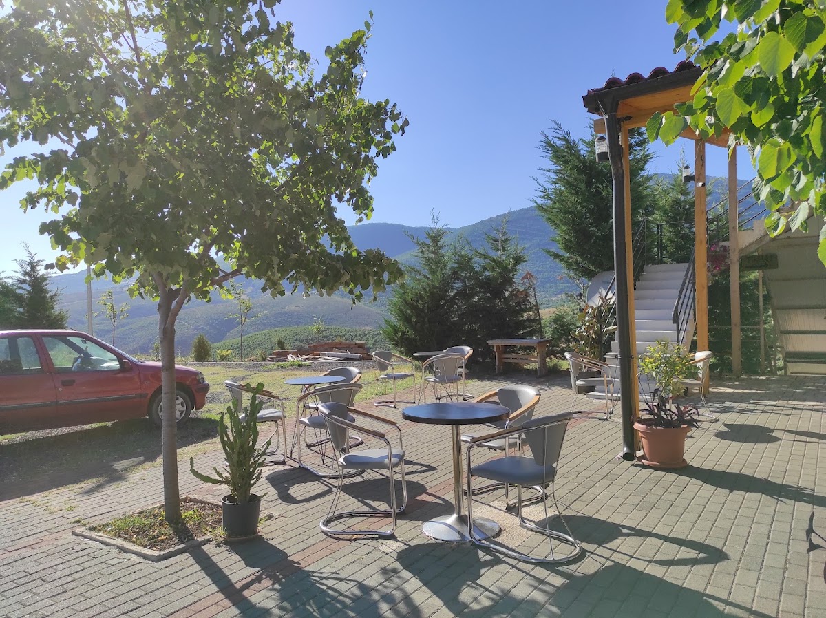 Arbëri photo 3
