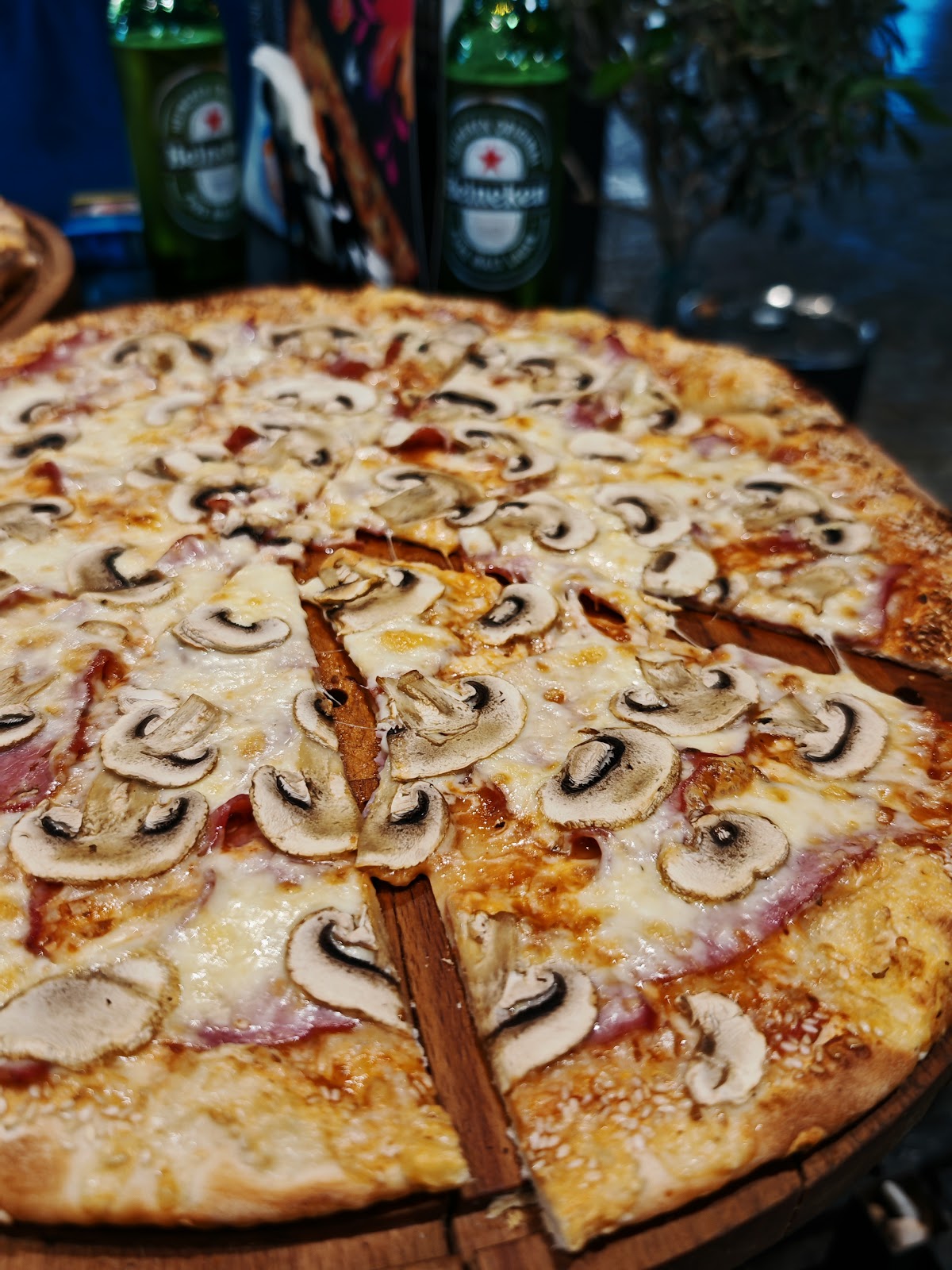 Proper Pizza Shkodër photo 3