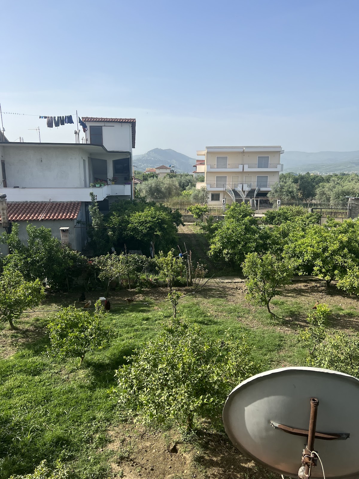 Hotel Simeone, Berat photo 4