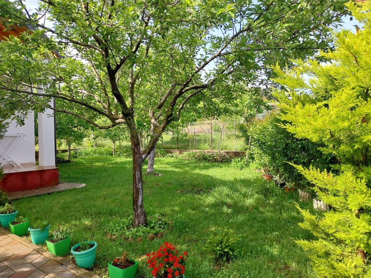 Riza Guest House photo 4