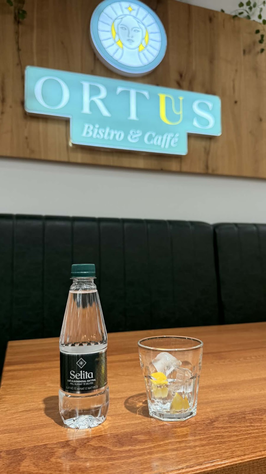 Ortus Bistro & Caffe — Restorante në Rahovec — photo 4