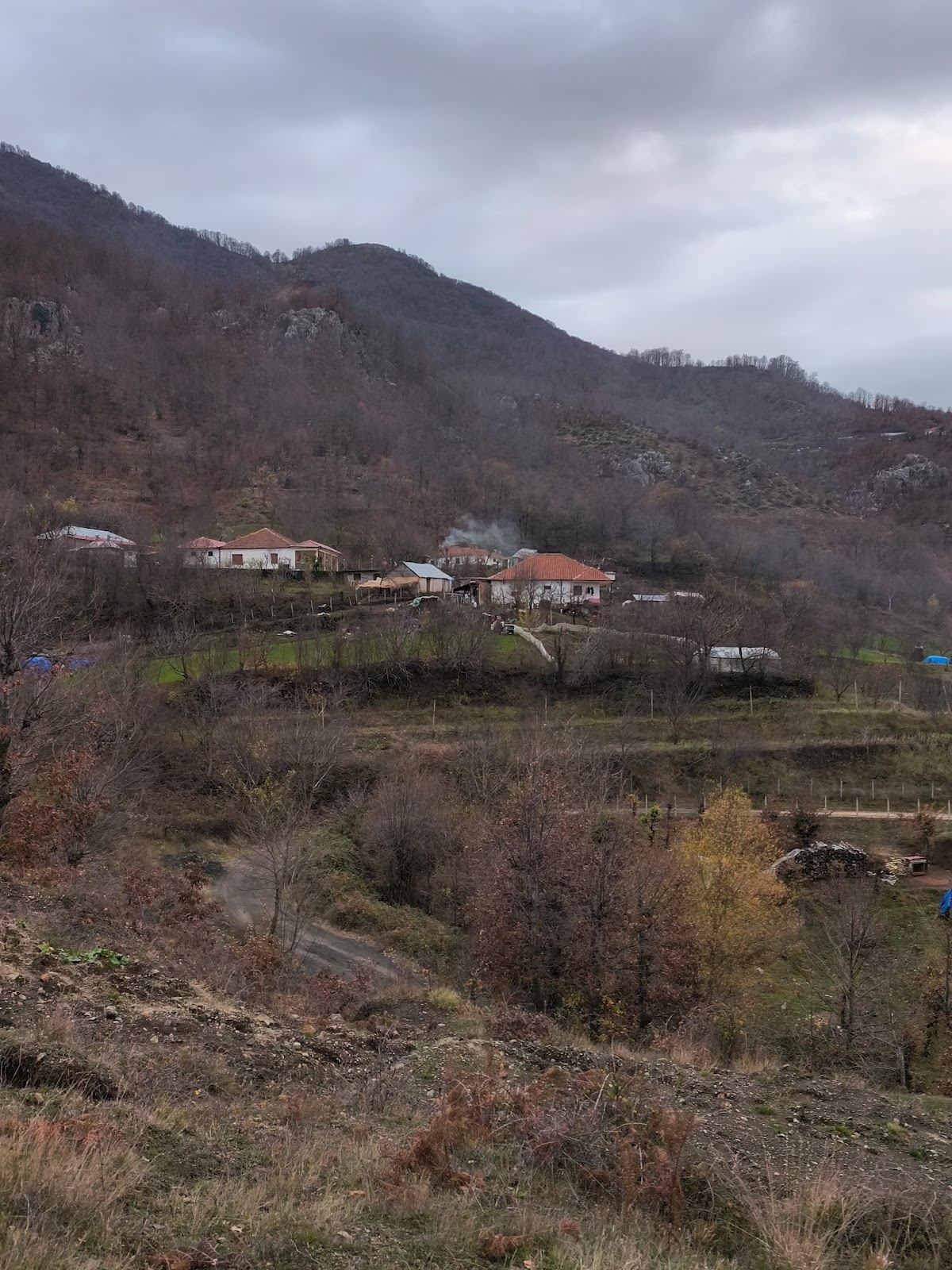 Babje photo 4