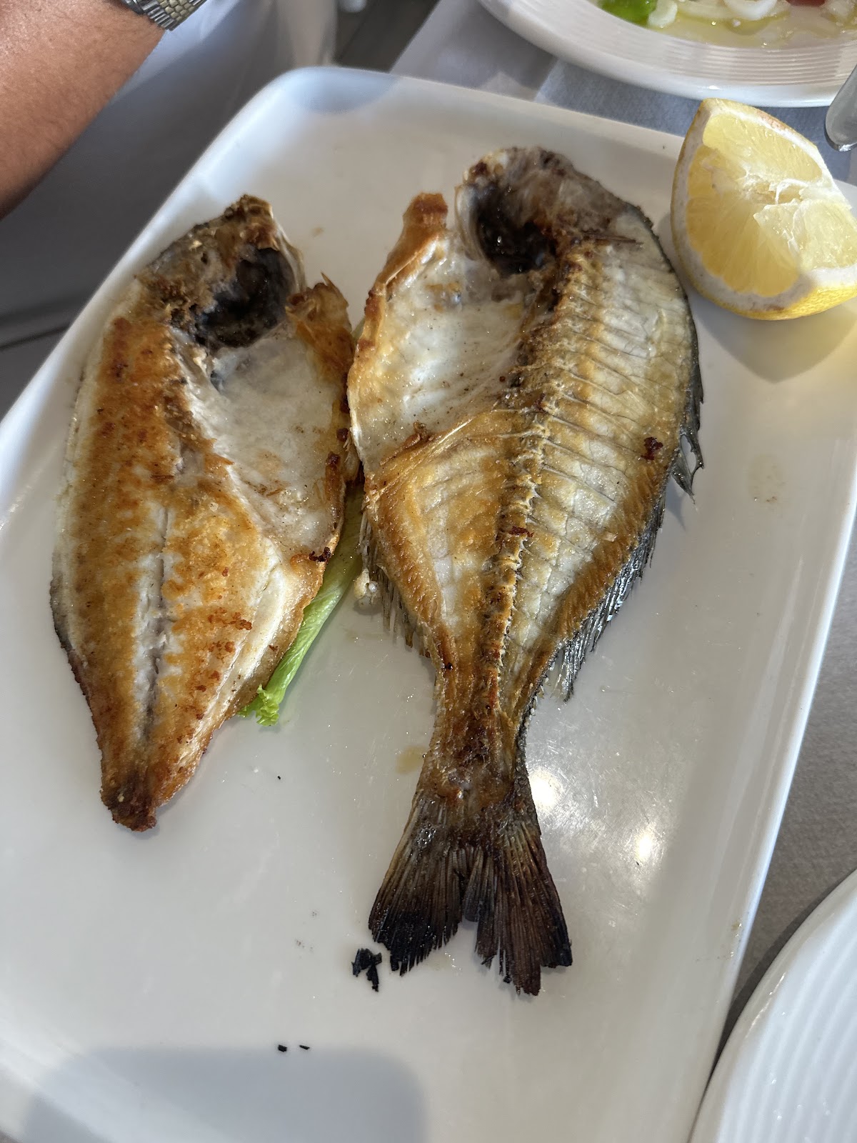 House of Fish photo 3