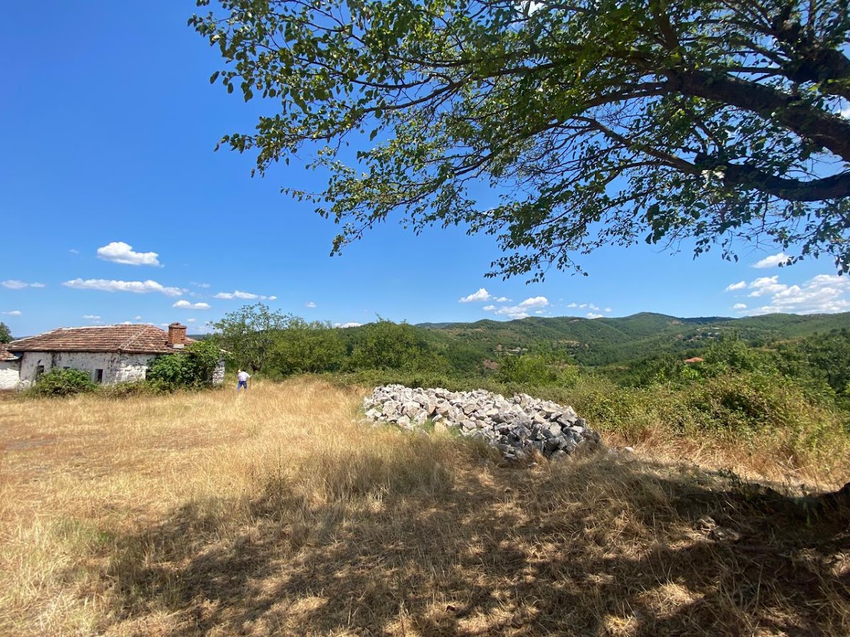 Tarazhi Eper (Upper Tarazh) photo 4