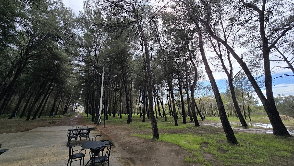 Misiri i Lokës photo 2