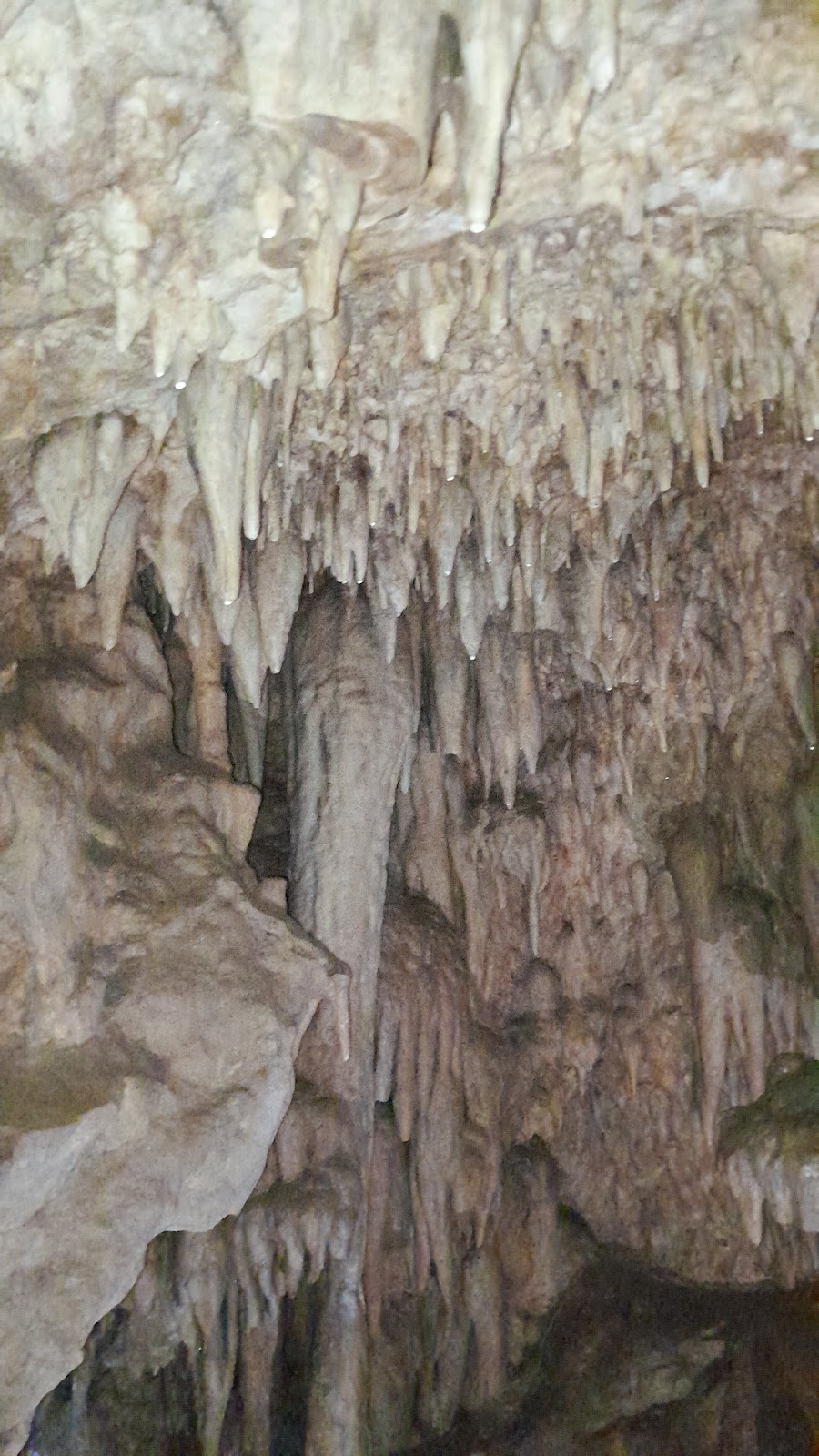 Cave photo 4