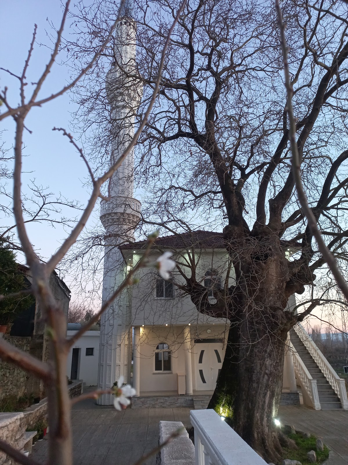 Ganjollë Mosque Spring photo 5